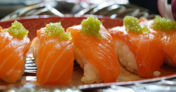 Visit and Taste — catering