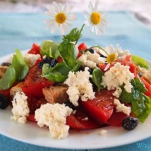 Visit and Taste — catering
